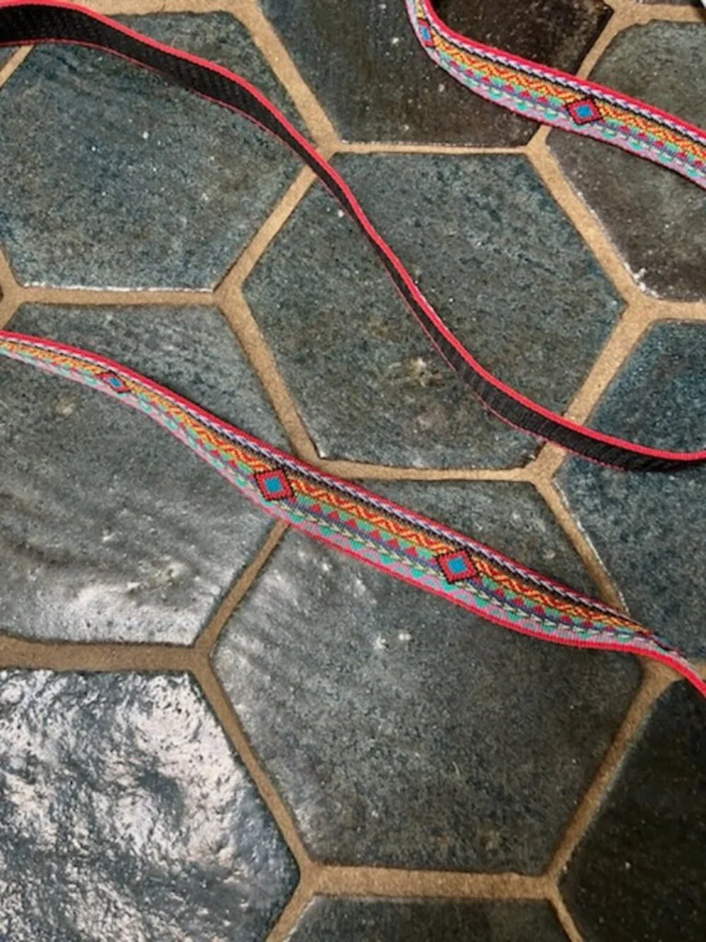 Dog Leashes plus light collar